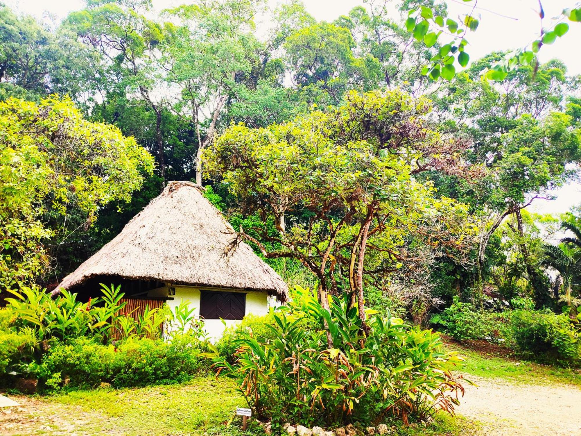 Maya Mountain Lodge San Ignacio Exterior foto