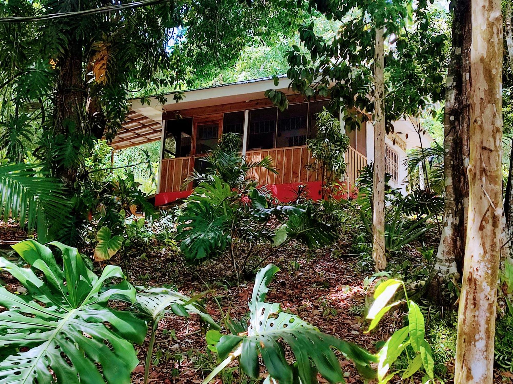 Maya Mountain Lodge San Ignacio Exterior foto