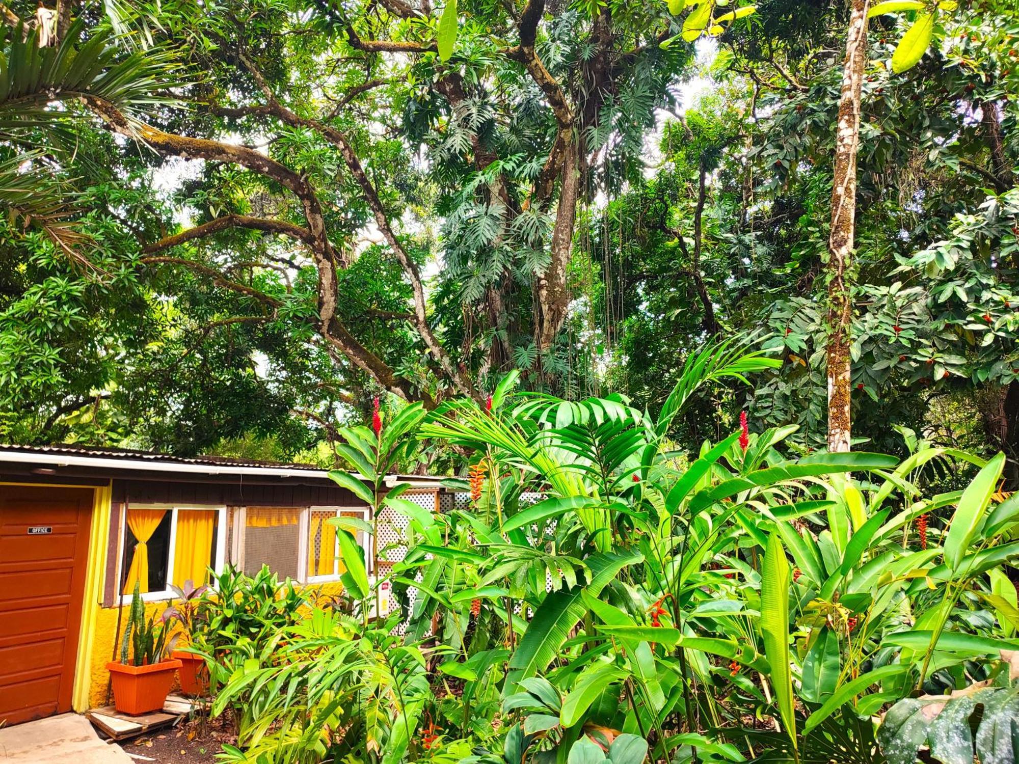 Maya Mountain Lodge San Ignacio Exterior foto