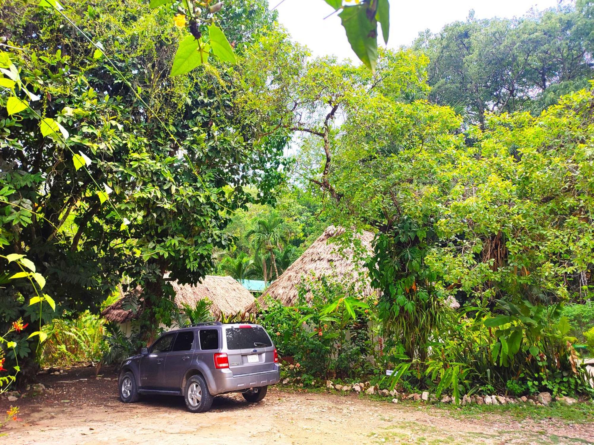 Maya Mountain Lodge San Ignacio Exterior foto