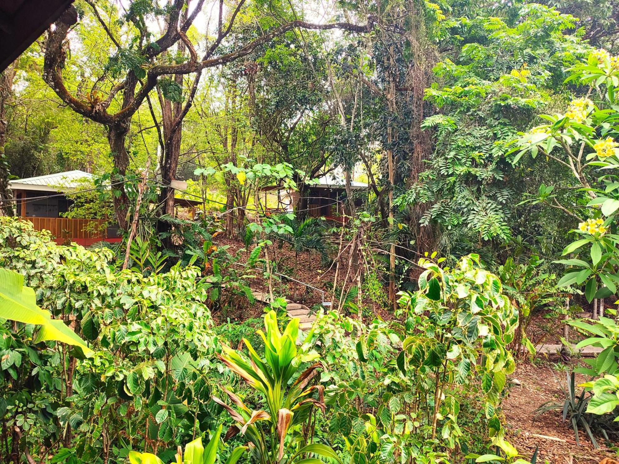 Maya Mountain Lodge San Ignacio Exterior foto